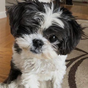 Meet your Posher, Luanne